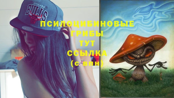 трава Балахна